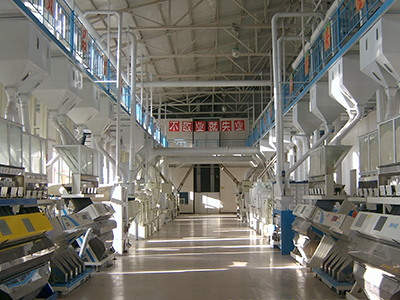 300t/d rice mill